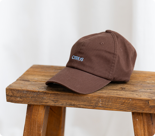 Organic Dad Cap - Cocoa